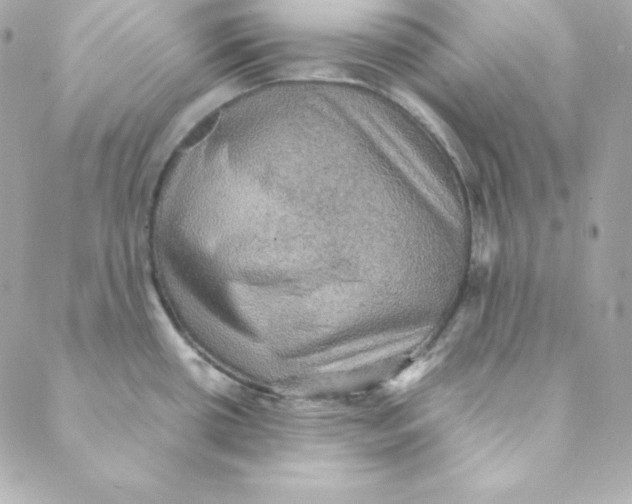 X0000088191434200706051155