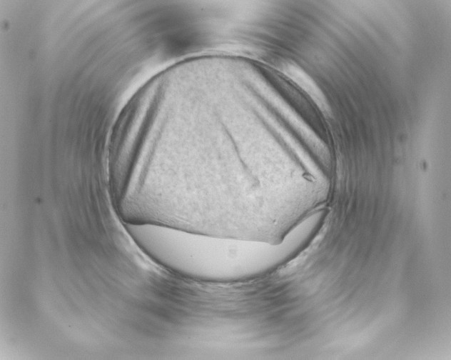 X0000088191436200706051155