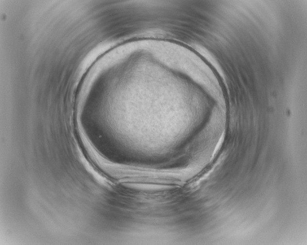 X0000088191437200706051155