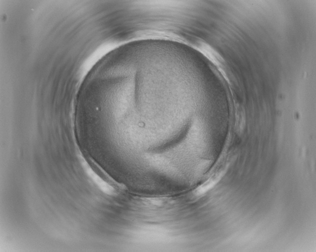 X0000088191438200706051156