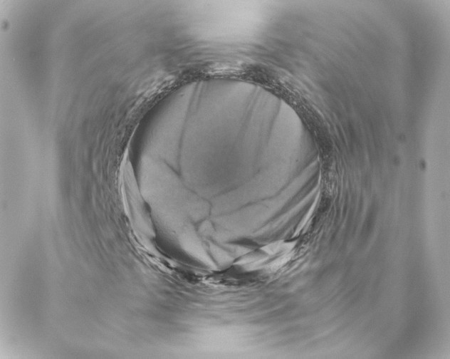 X0000088191441200706051155