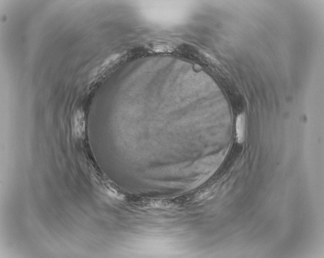 X0000088191443200706051155