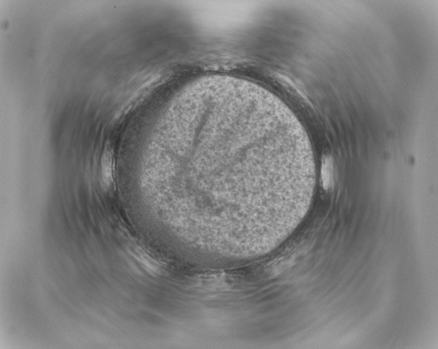 X0000088191444200706051155