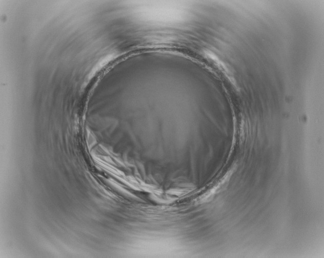 X0000088191449200706051155