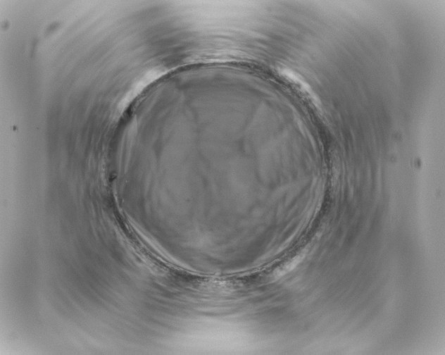 X0000088191457200706051155