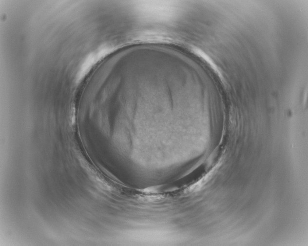 X0000088191461200706051154