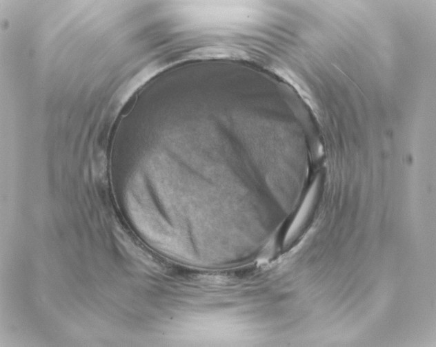 X0000088191465200706051154