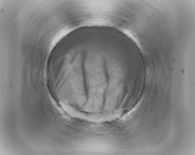 X0000088191469200706051154