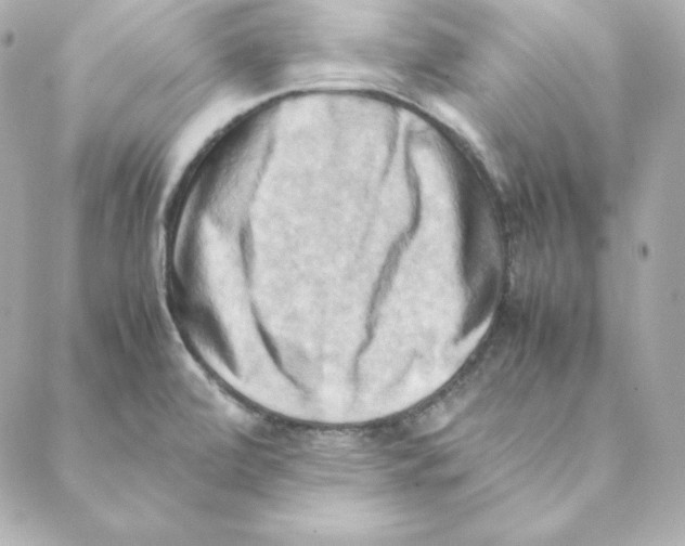 X0000088191472200706051154