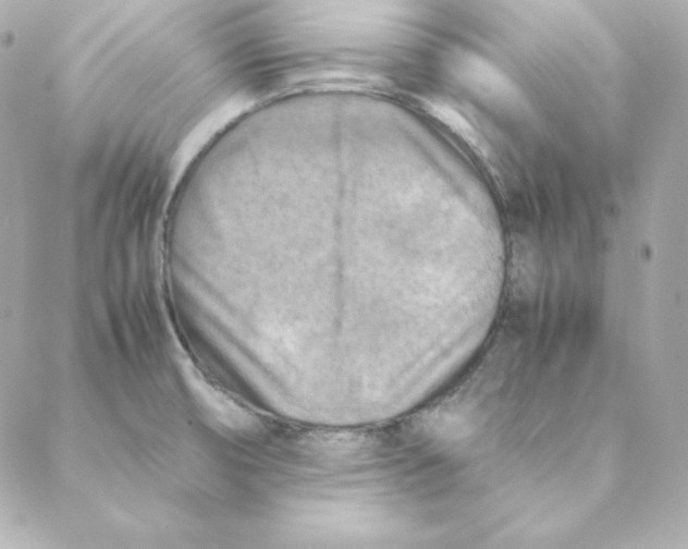 X0000088191474200706051154