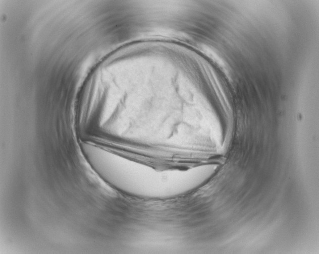 X0000088191480200706051154