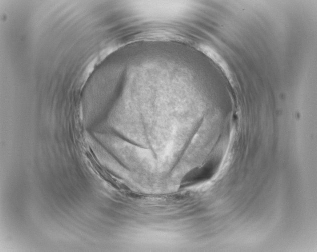 X0000088191481200706051154