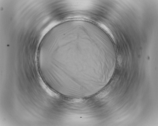 X0000088191482200706051154