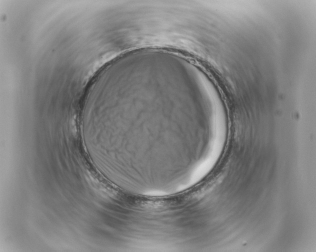 X0000088191497200706051153