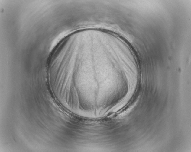 X0000088191501200706051153