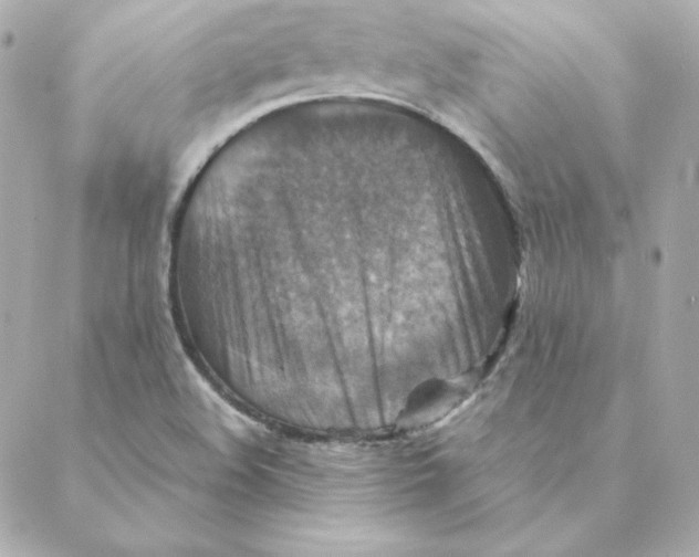 X0000088191508200706051154