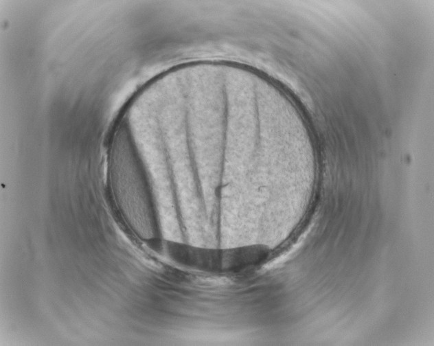 X0000088191509200706051154