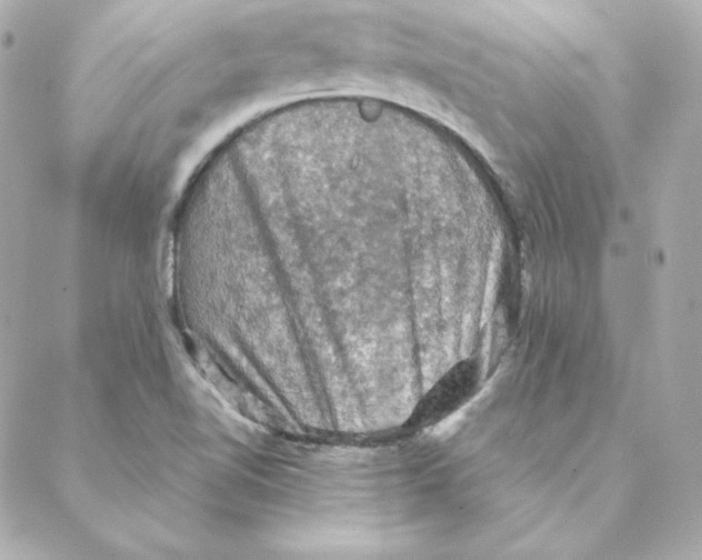 X0000088191510200706051154