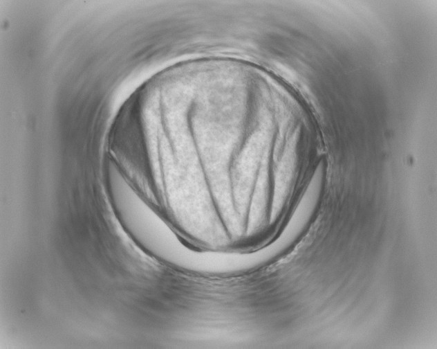 X0000088191520200706051154