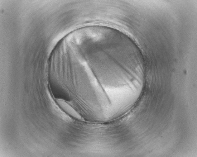 X0000088191522200706051154