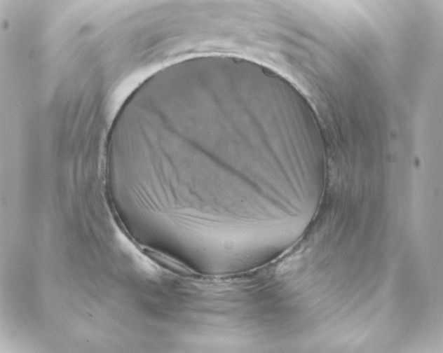X0000088191527200706051154