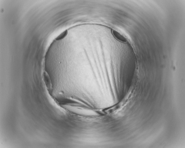 X0000088191528200706051154