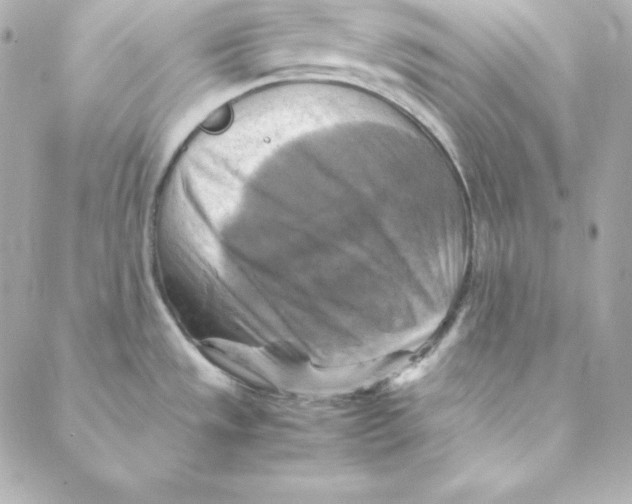 X0000088191533200706051154