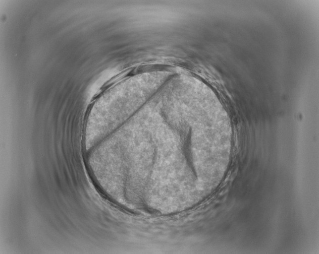 X0000088190003200706121727