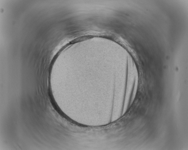 X0000088190011200706121727