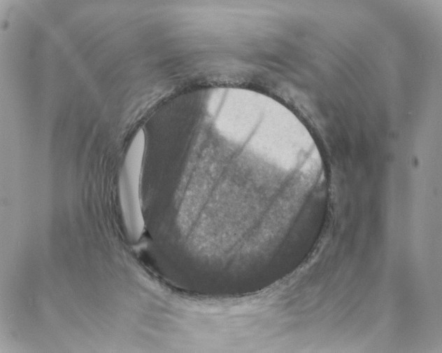 X0000088190017200706121727