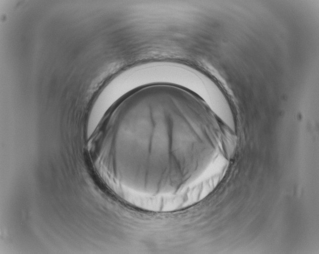 X0000088190019200706121727