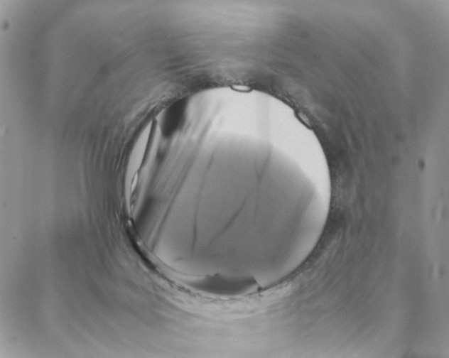 X0000088190027200706121727