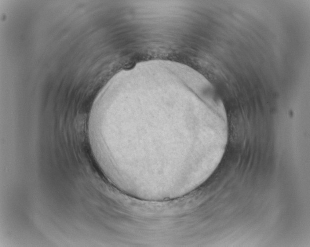 X0000088190034200706121727