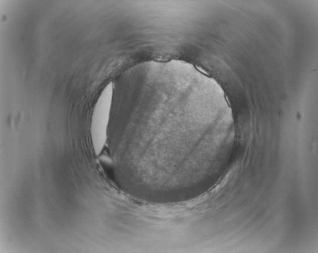 X0000088190041200706121727