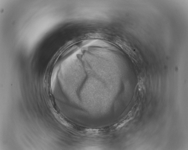 X0000088190052200706121726