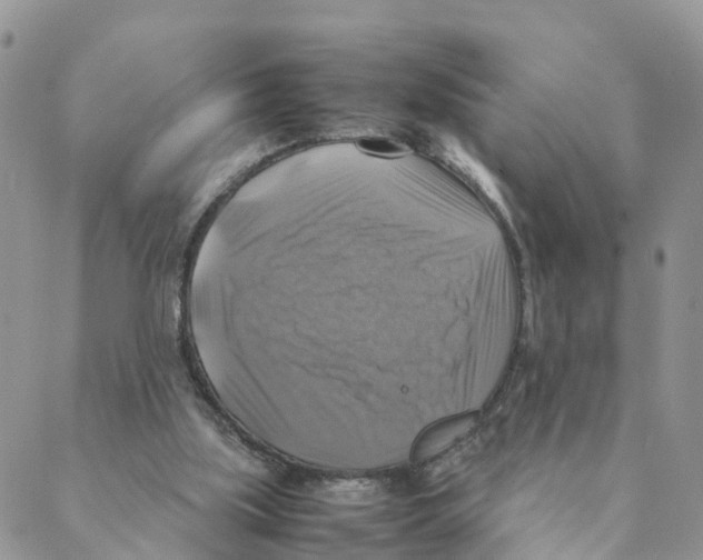 X0000088190059200706121726