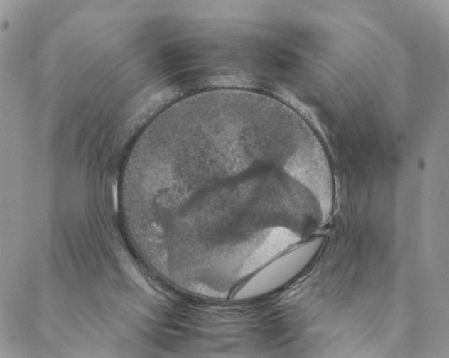 X0000088190061200706121726