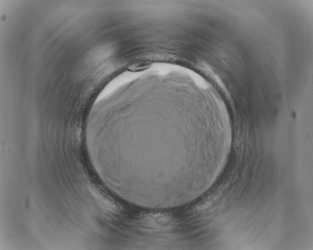 X0000088190063200706121726