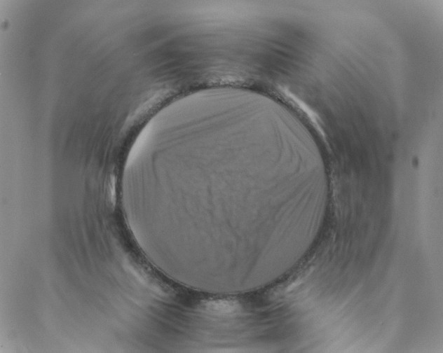 X0000088190067200706121726