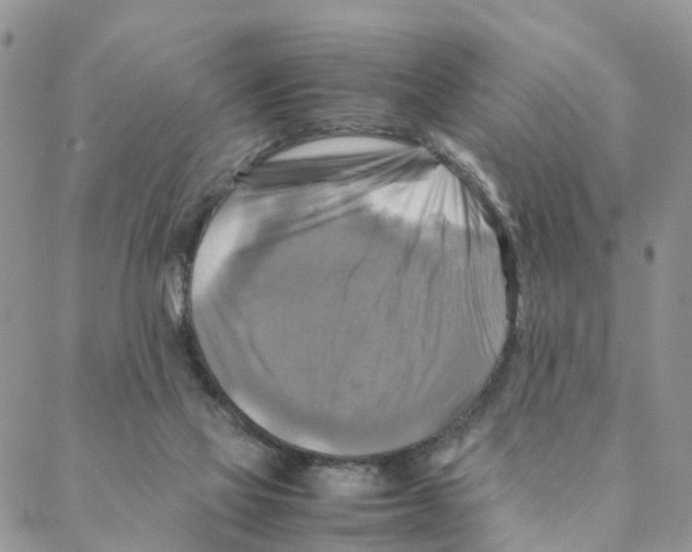 X0000088190069200706121726