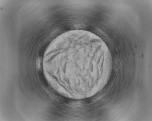 X0000088190075200706121726
