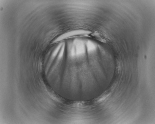 X0000088190080200706121726