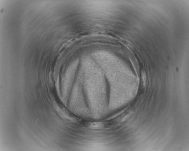 X0000088190088200706121726