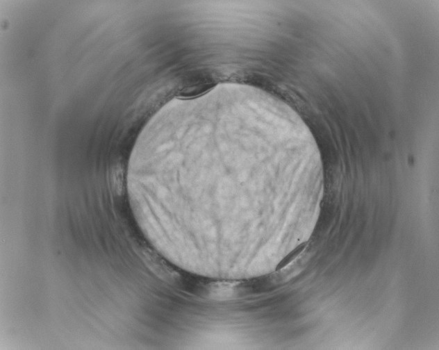 X0000088190090200706121726