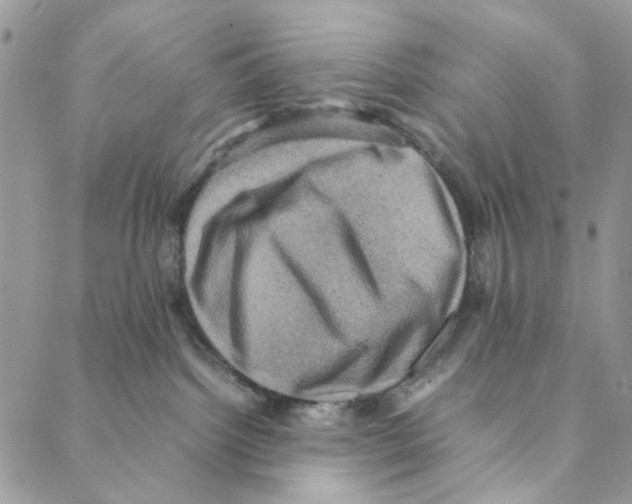 X0000088190092200706121726