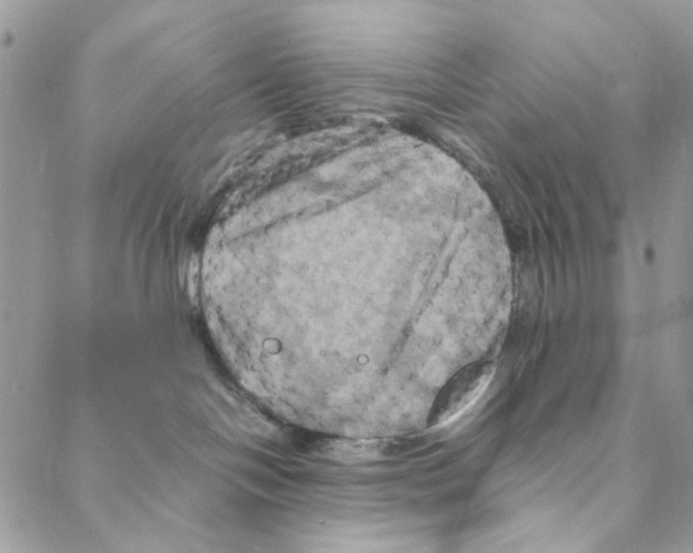 X0000088190094200706121726