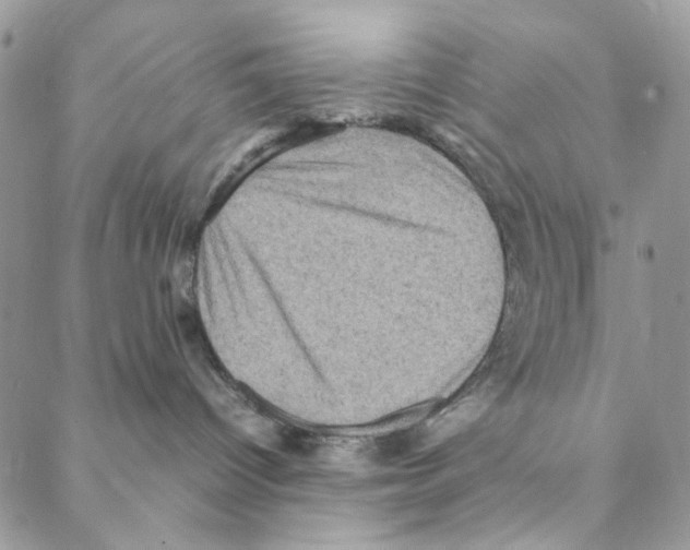 X0000088190096200706121726