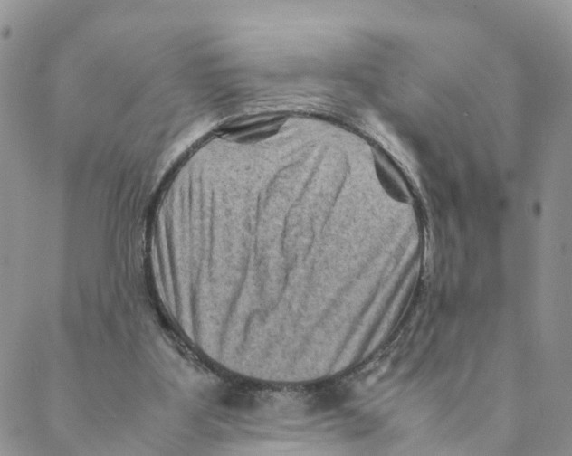 X0000088190107200706121725