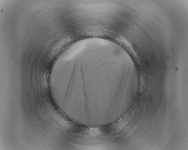 X0000088190114200706121725