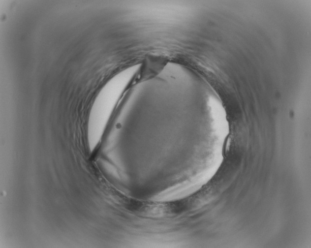 X0000088190127200706121725
